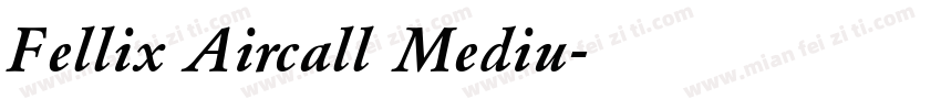 Fellix Aircall Mediu字体转换
